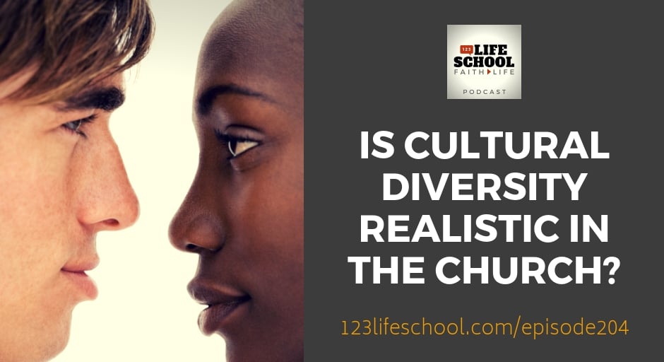 is cultural diversity realistic